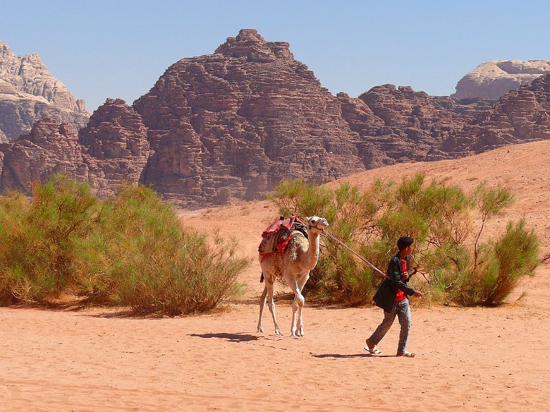 Wadi Rum (75).jpg